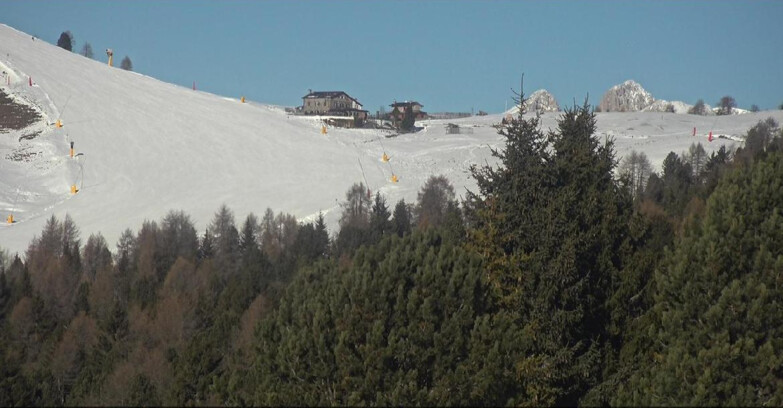 Webcam Bellamonte-Alpe Lusia  - Pista Dolomitica