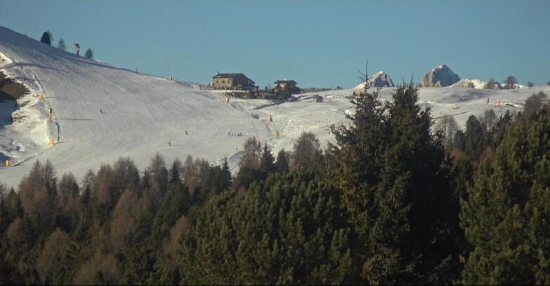 Webcam Bellamonte-Alpe Lusia  - Pista Dolomitica
