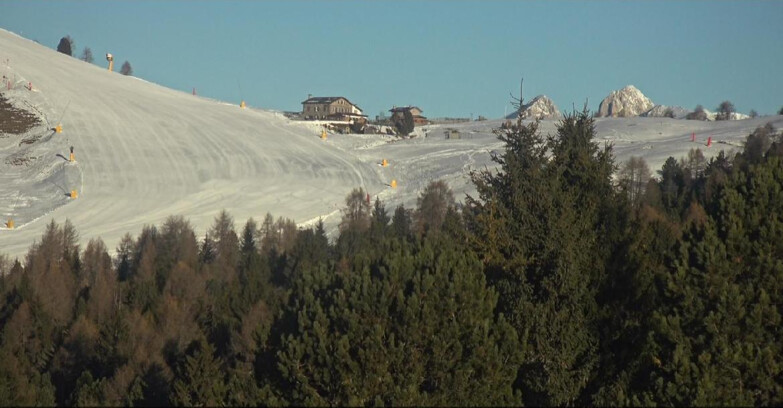 Webcam Bellamonte-Alpe Lusia  - Pista Dolomitica