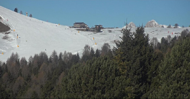 Webcam Bellamonte-Alpe Lusia - Pista Dolomitica