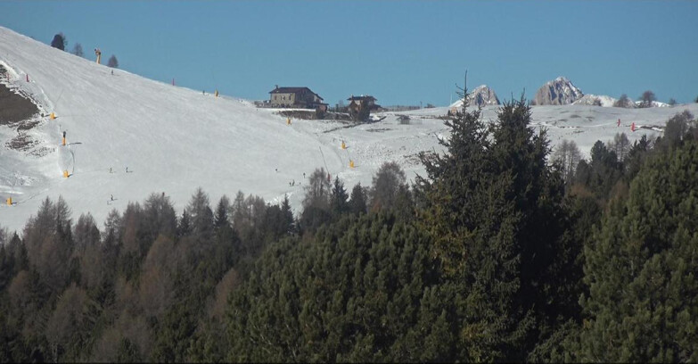 Webcam Bellamonte-Alpe Lusia - Pista Dolomitica