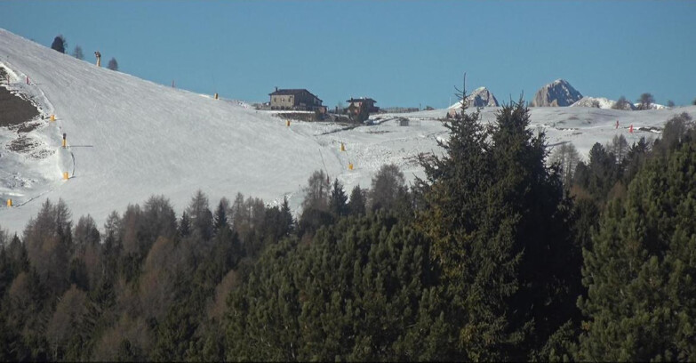 Webcam Bellamonte-Alpe Lusia - Pista Dolomitica