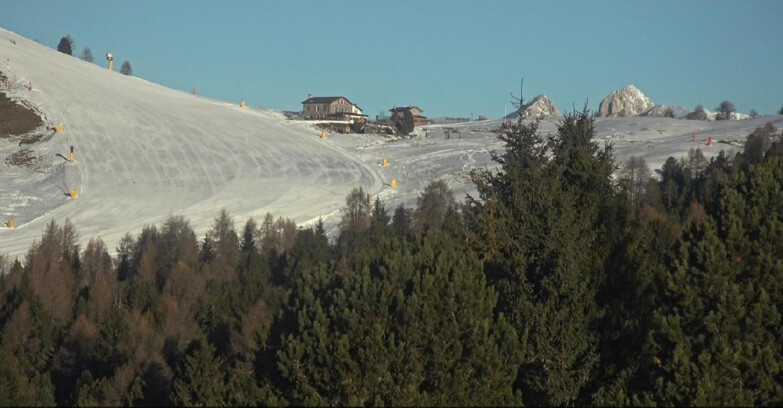 Webcam Bellamonte-Alpe Lusia - Pista Dolomitica