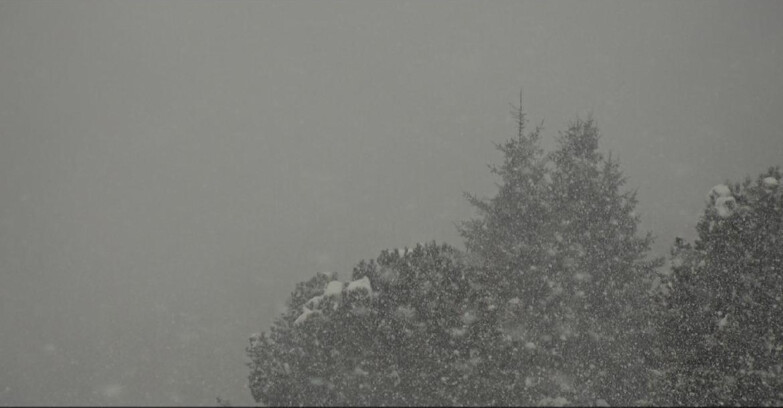 Webcam Bellamonte-Alpe Lusia  - Pista Dolomitica