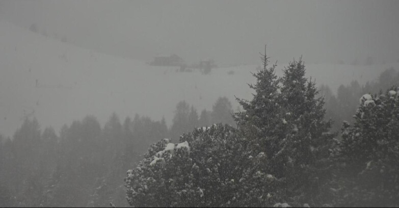 Webcam Bellamonte-Alpe Lusia  - Pista Dolomitica