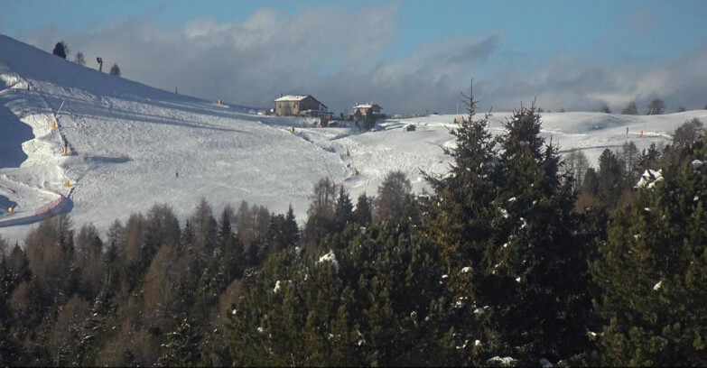 Webcam Bellamonte-Alpe Lusia  - Pista Dolomitica