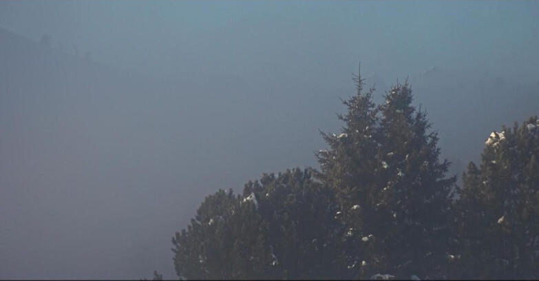 Webcam Bellamonte-Alpe Lusia  - Pista Dolomitica