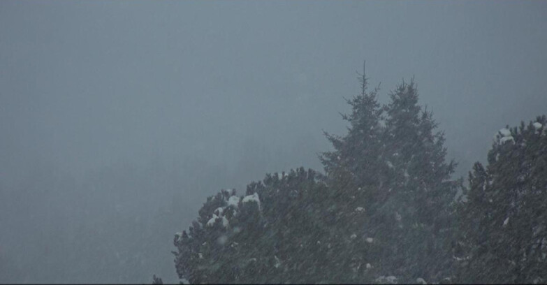 Webcam Bellamonte-Alpe Lusia  - Pista Dolomitica