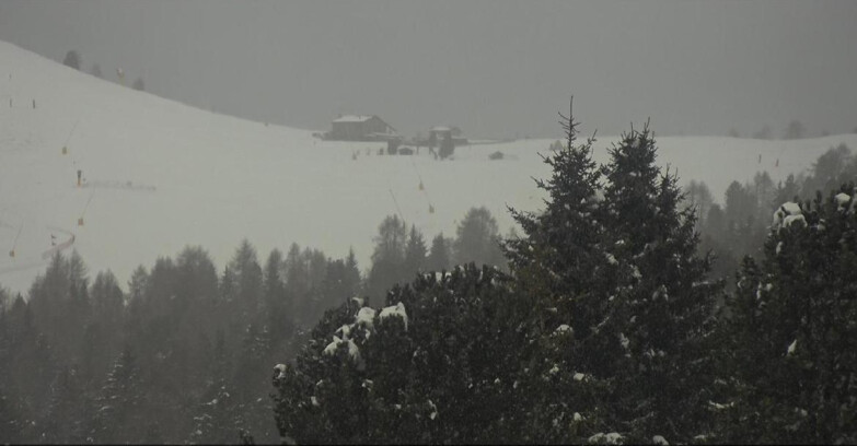 Webcam Bellamonte-Alpe Lusia  - Pista Dolomitica