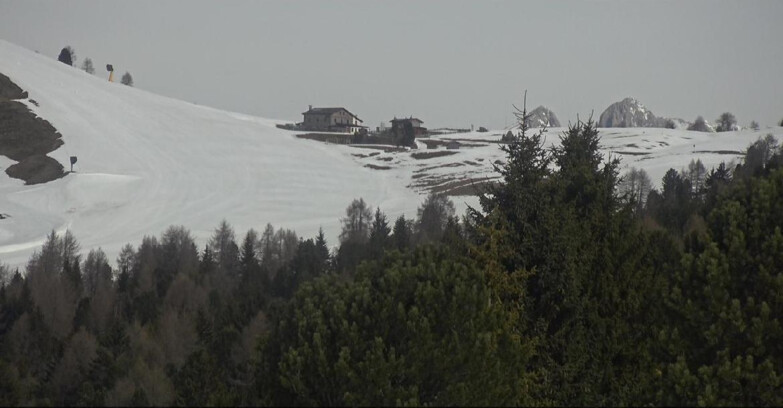 Webcam Bellamonte-Alpe Lusia - Dolomiti slope