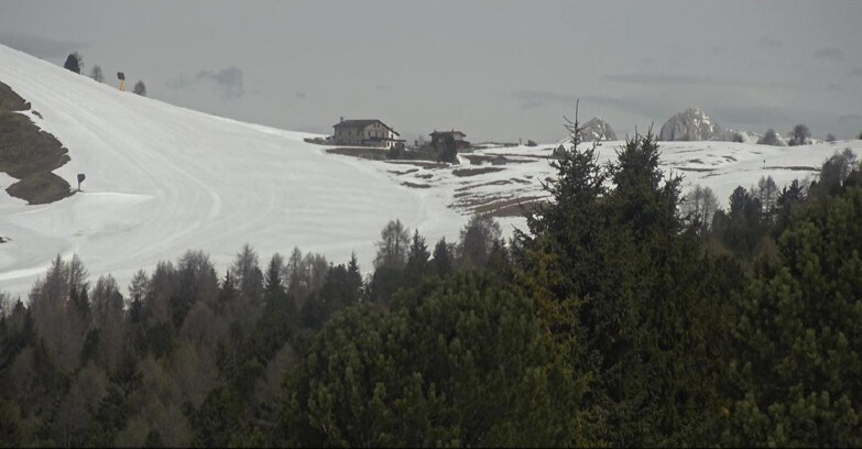 Webcam Bellamonte-Alpe Lusia - Dolomiti slope