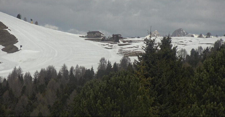 Webcam Bellamonte-Alpe Lusia - Dolomiti slope