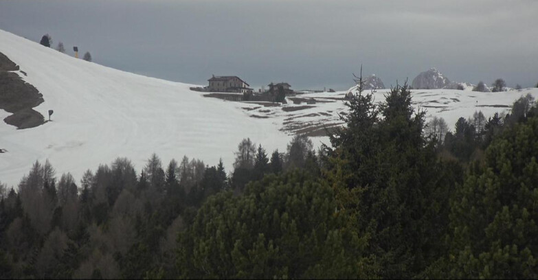 Webcam Bellamonte-Alpe Lusia - Dolomiti slope