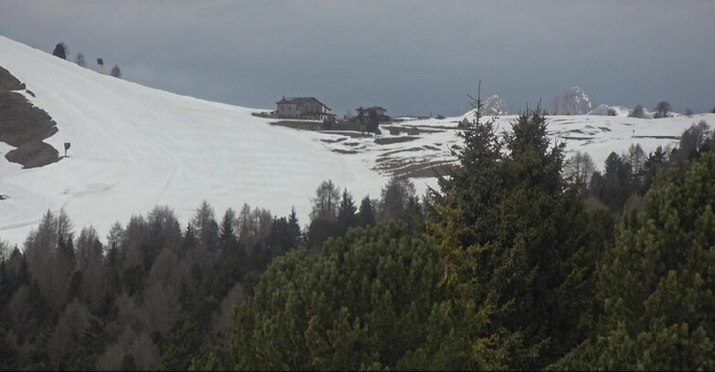 Webcam Bellamonte-Alpe Lusia - Dolomiti slope
