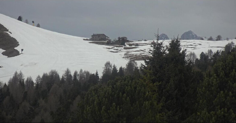 Webcam Bellamonte-Alpe Lusia - Dolomiti slope