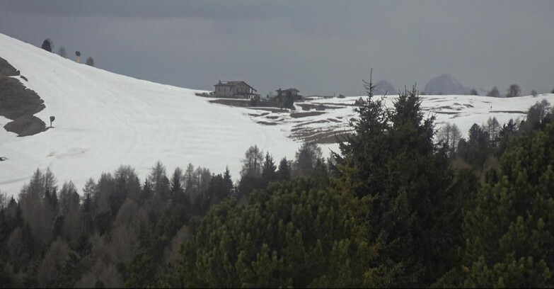 Webcam Bellamonte-Alpe Lusia - Dolomiti slope