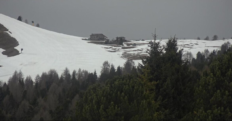 Webcam Bellamonte-Alpe Lusia - Pista Dolomitica