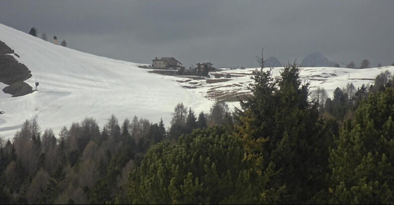 Webcam Bellamonte-Alpe Lusia - Pista Dolomitica