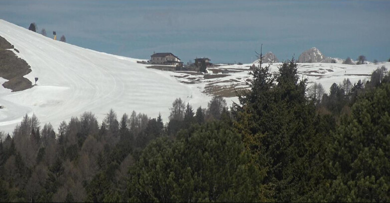 Webcam Bellamonte-Alpe Lusia - Dolomiti slope