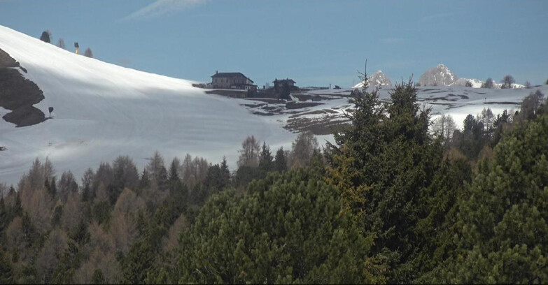 Webcam Bellamonte-Alpe Lusia - Pista Dolomitica
