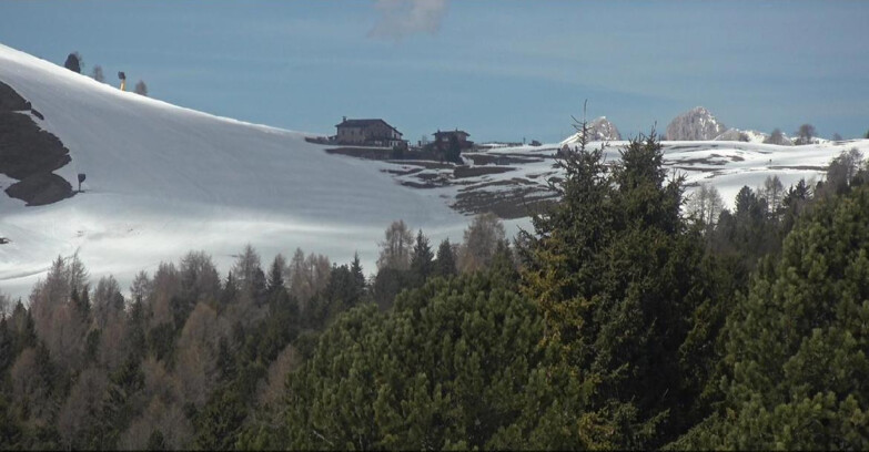Webcam Bellamonte-Alpe Lusia - Dolomiti slope