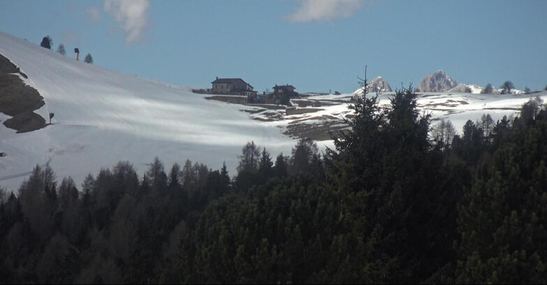 Webcam Bellamonte-Alpe Lusia - Dolomiti slope
