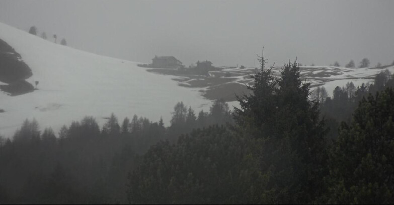 Webcam Bellamonte-Alpe Lusia  - Pista Dolomitica
