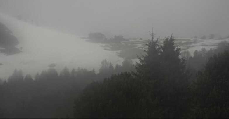 Webcam Bellamonte-Alpe Lusia  - Pista Dolomitica