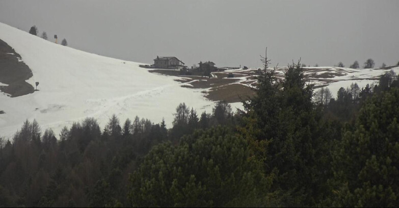 Webcam Bellamonte-Alpe Lusia  - Pista Dolomitica