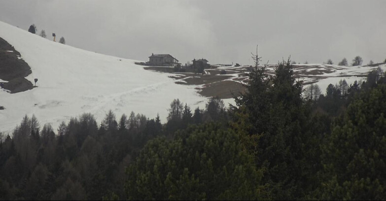 Webcam Bellamonte-Alpe Lusia  - Pista Dolomitica