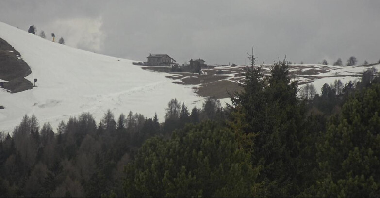 Webcam Bellamonte-Alpe Lusia  - Pista Dolomitica