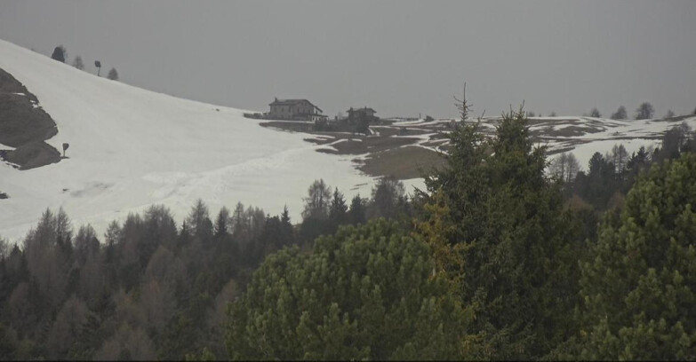 Webcam Bellamonte-Alpe Lusia  - Pista Dolomitica