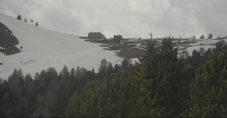 Webcam Bellamonte-Alpe Lusia  - Pista Dolomitica