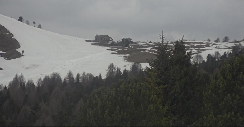 Webcam Bellamonte-Alpe Lusia  - Pista Dolomitica