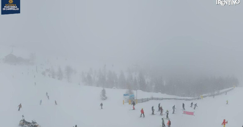 Webcam Madonna di Campiglio - Rifugio Viviani