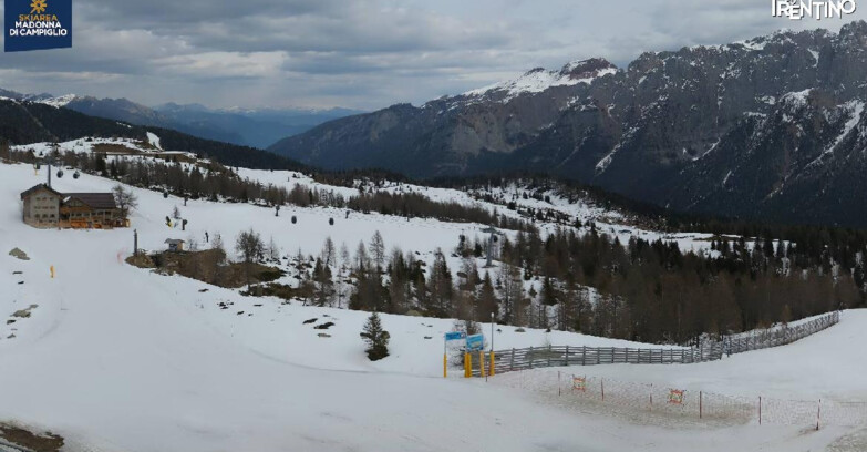 Webcam Madonna di Campiglio (Skiarea Campiglio Dolomiti di Brenta - Val di Sole Val Rendena) - Rifugio Viviani