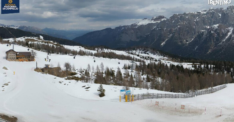 Webcam Madonna di Campiglio (Skiarea Campiglio Dolomiti di Brenta - Val di Sole Val Rendena) - Rifugio Viviani