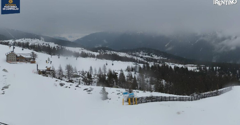 Webcam Madonna di Campiglio (Skiarea Campiglio Dolomiti di Brenta - Val di Sole Val Rendena) - Rifugio Viviani