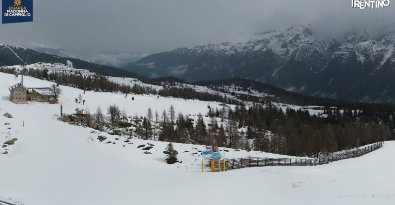 Webcam Madonna di Campiglio (Skiarea Campiglio Dolomiti di Brenta - Val di Sole Val Rendena) - Rifugio Viviani