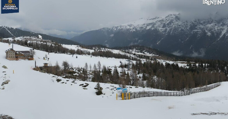 Webcam Madonna di Campiglio (Skiarea Campiglio Dolomiti di Brenta - Val di Sole Val Rendena) - Rifugio Viviani