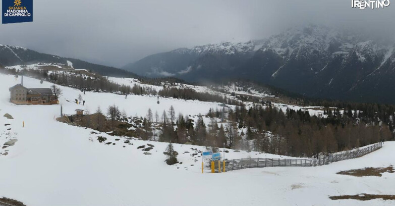 Webcam Madonna di Campiglio (Skiarea Campiglio Dolomiti di Brenta - Val di Sole Val Rendena) - Rifugio Viviani