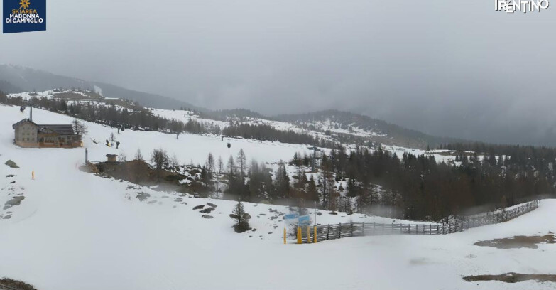 Webcam Madonna di Campiglio (Skiarea Campiglio Dolomiti di Brenta - Val di Sole Val Rendena) - Rifugio Viviani