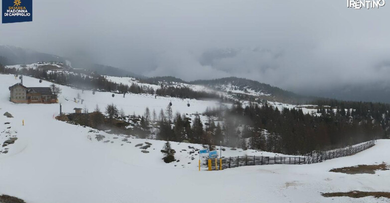 Webcam Madonna di Campiglio (Skiarea Campiglio Dolomiti di Brenta - Val di Sole Val Rendena) - Rifugio Viviani