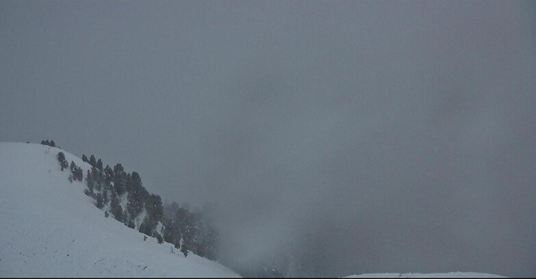 Webcam Pozza di Fassa-Aloch-Buffaure  - Sasso Lungo e Sasso Piatto visti da Buffaure