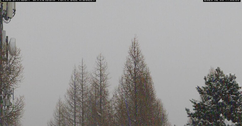 Webcam Vigo di Fassa-Pera-Ciampedìe - Vigo di Fassa - Gardeccia - Torri del Vajolet