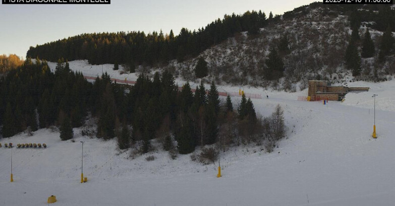Webcam Monte Bondone - Bondone Diagonale Montesel