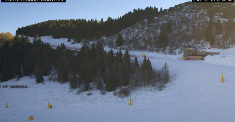 Webcam Monte Bondone - Bondone Diagonale Montesel