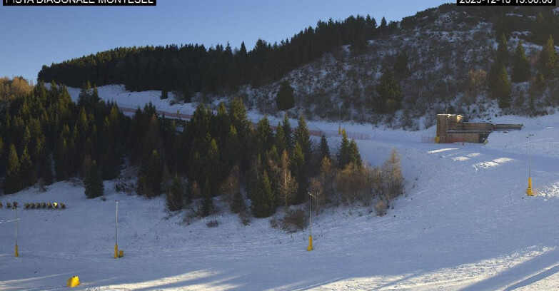 Webcam Monte Bondone - Bondone Diagonale Montesel