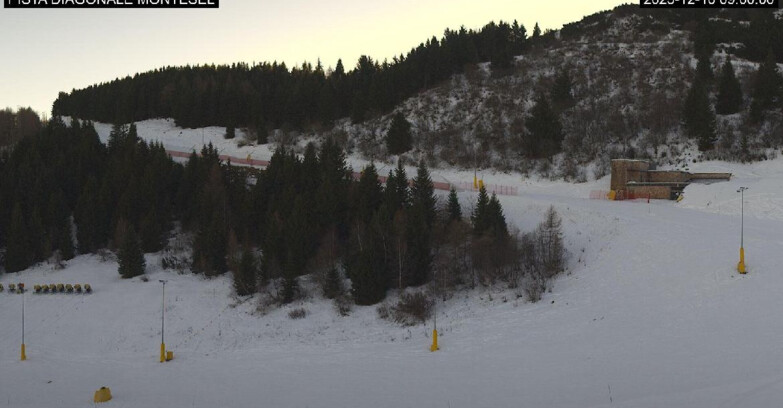 Webcam Monte Bondone - Bondone Diagonale Montesel