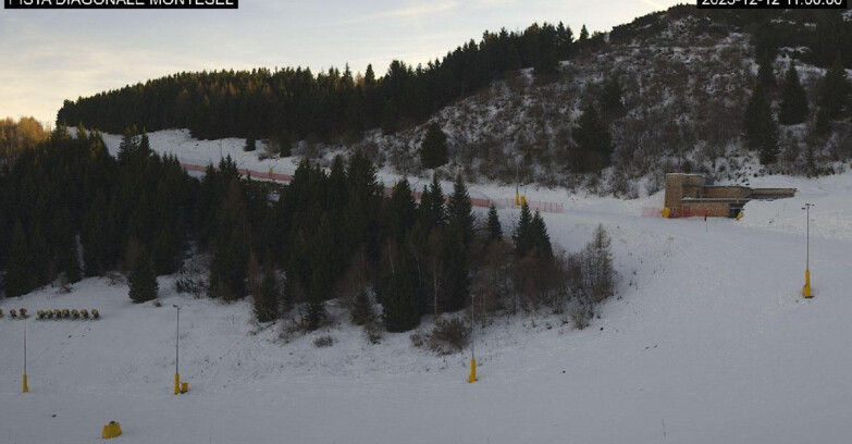 Webcam Monte Bondone - Bondone Diagonale Montesel